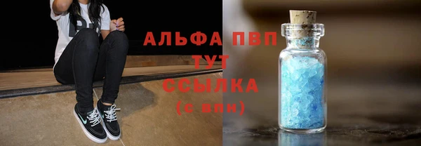 крисы Горняк