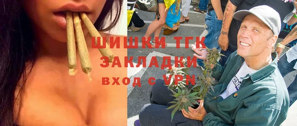 крисы Горняк